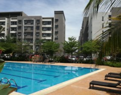 Hostel_swimming pool