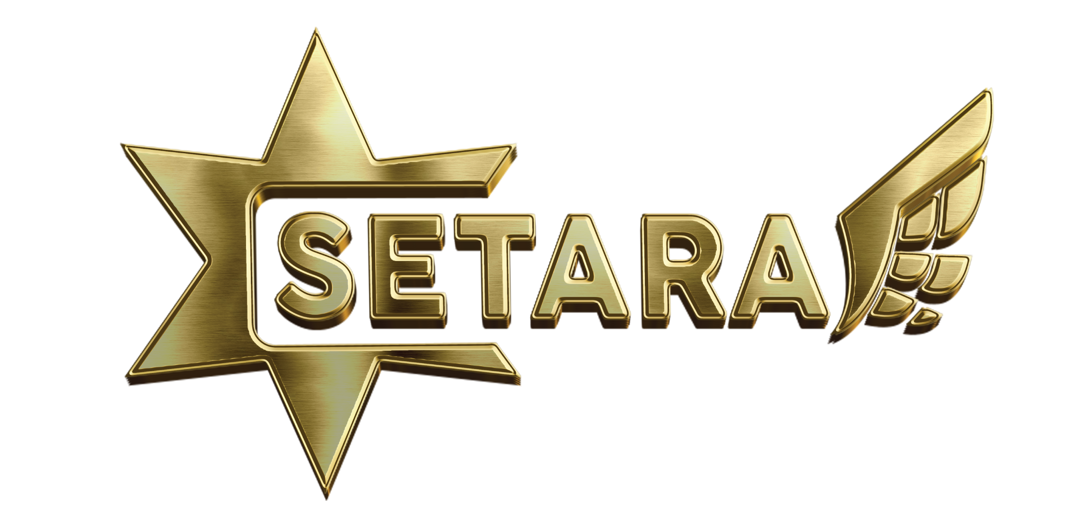 logo-Setara-2022